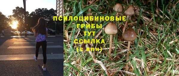 ПСИЛОЦИБИНОВЫЕ ГРИБЫ Алзамай